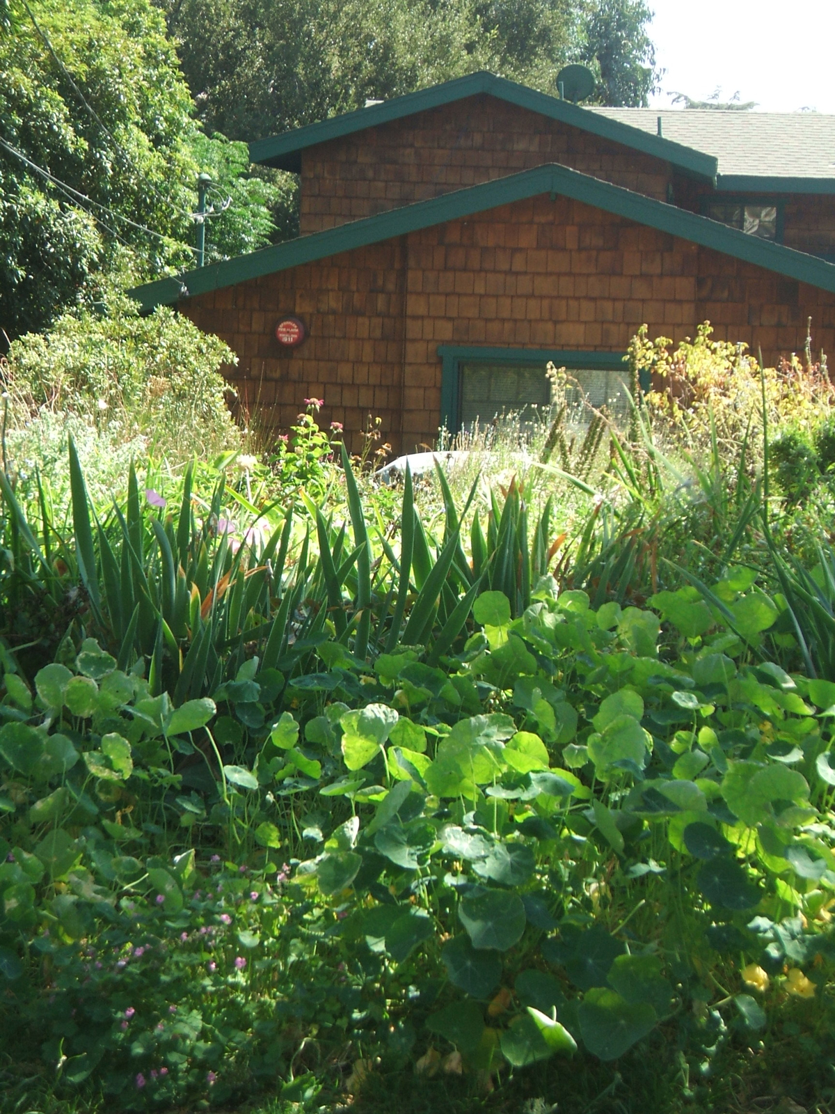 No Till Gardening Methods - Grit